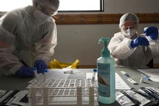 Covid mutations ‘are not speeding up spread of virus’