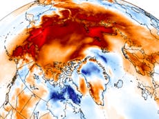 Alarm as Arctic temperatures for November soar well above average