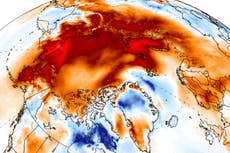 Alarm as Arctic temperatures for November soar well above average