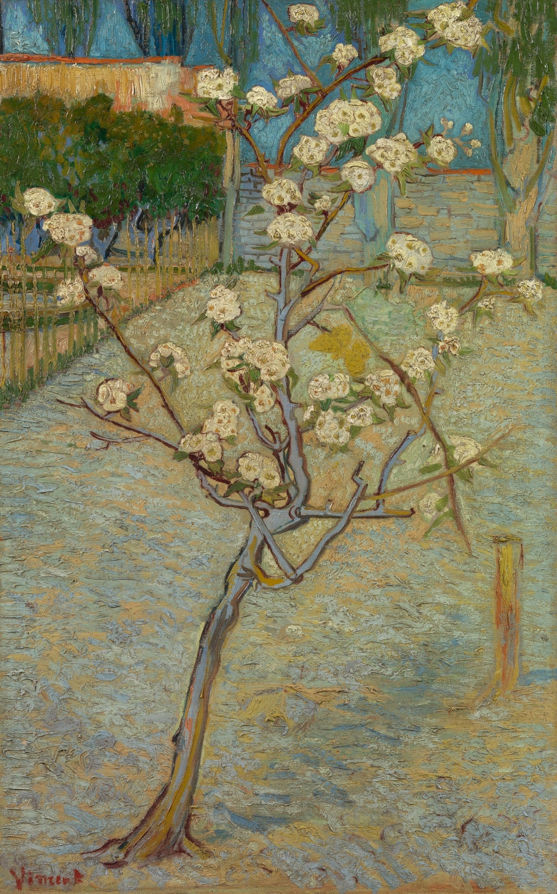 Small Pear Tree in Blossom, 1888, oil on canvas