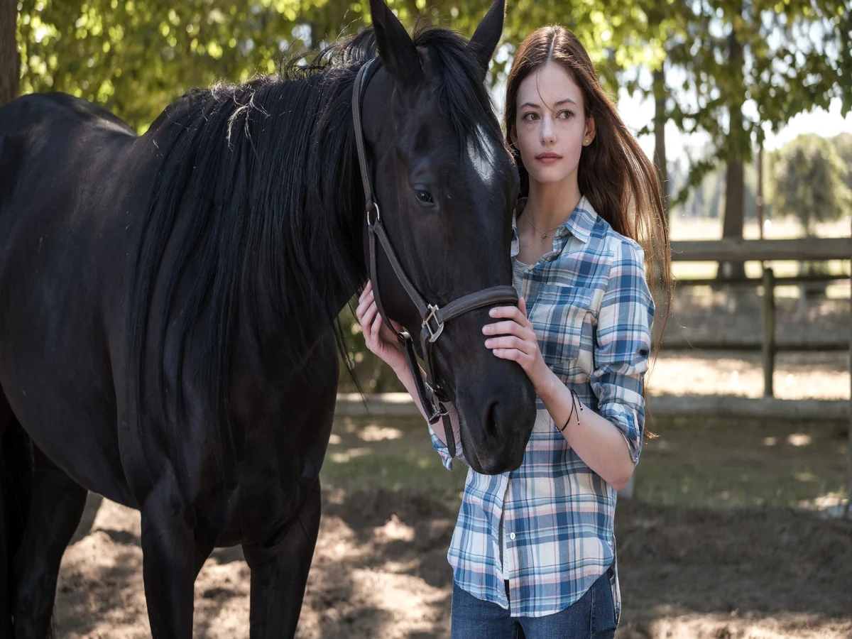 Black Beauty review: Perfect for horse girls, not so much for anyone else |  The Independent