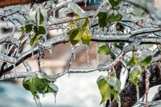 Thousands without heating, power in Russia after ice storm
