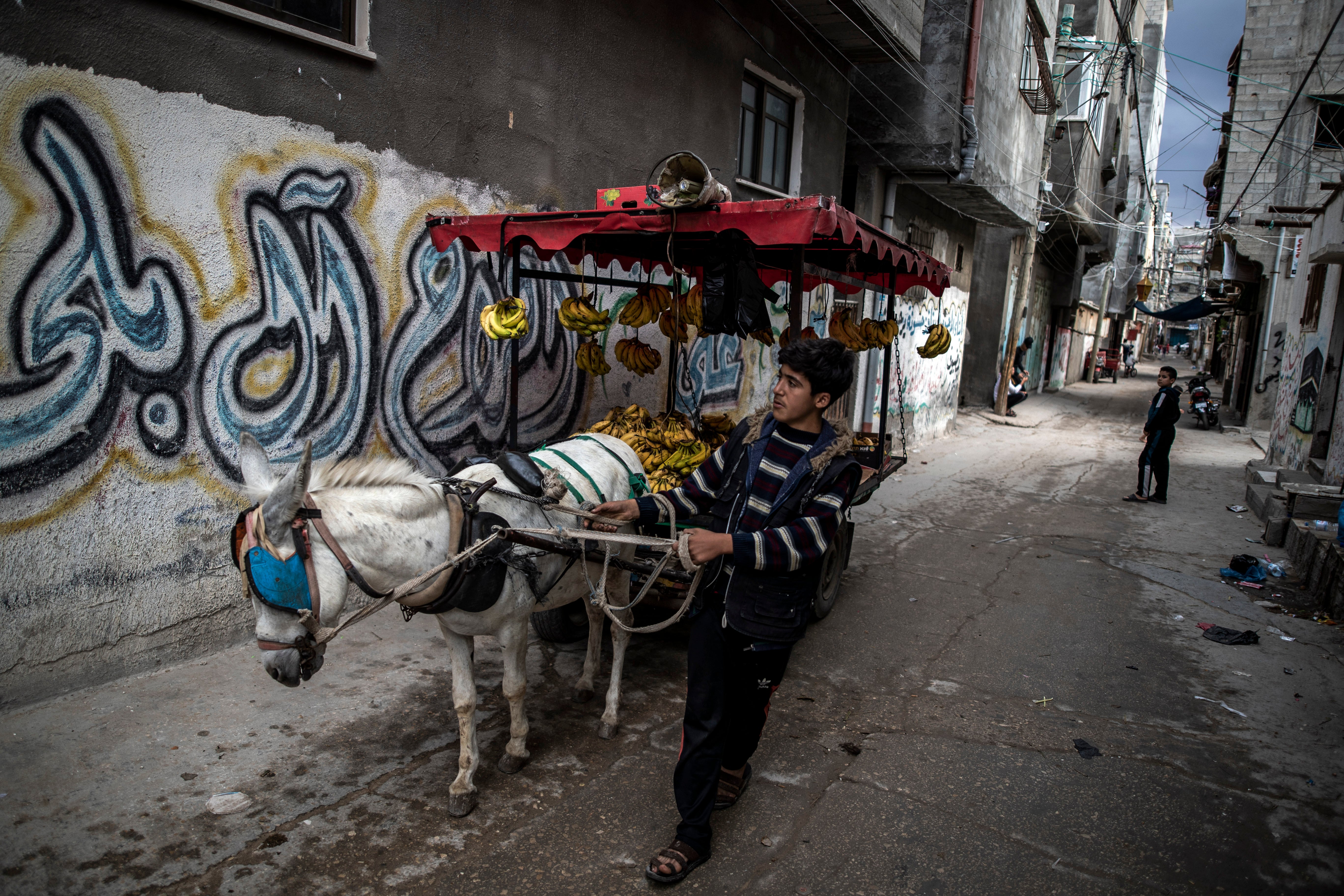 <p>A Palestinian boy sells bananas on a donkey cart in an alley in the Shati refugee camp in Gaza City</p>