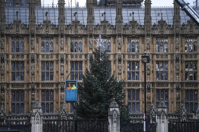 Tall order: workers place lights on the Christmas tree outside parliament earlier this month