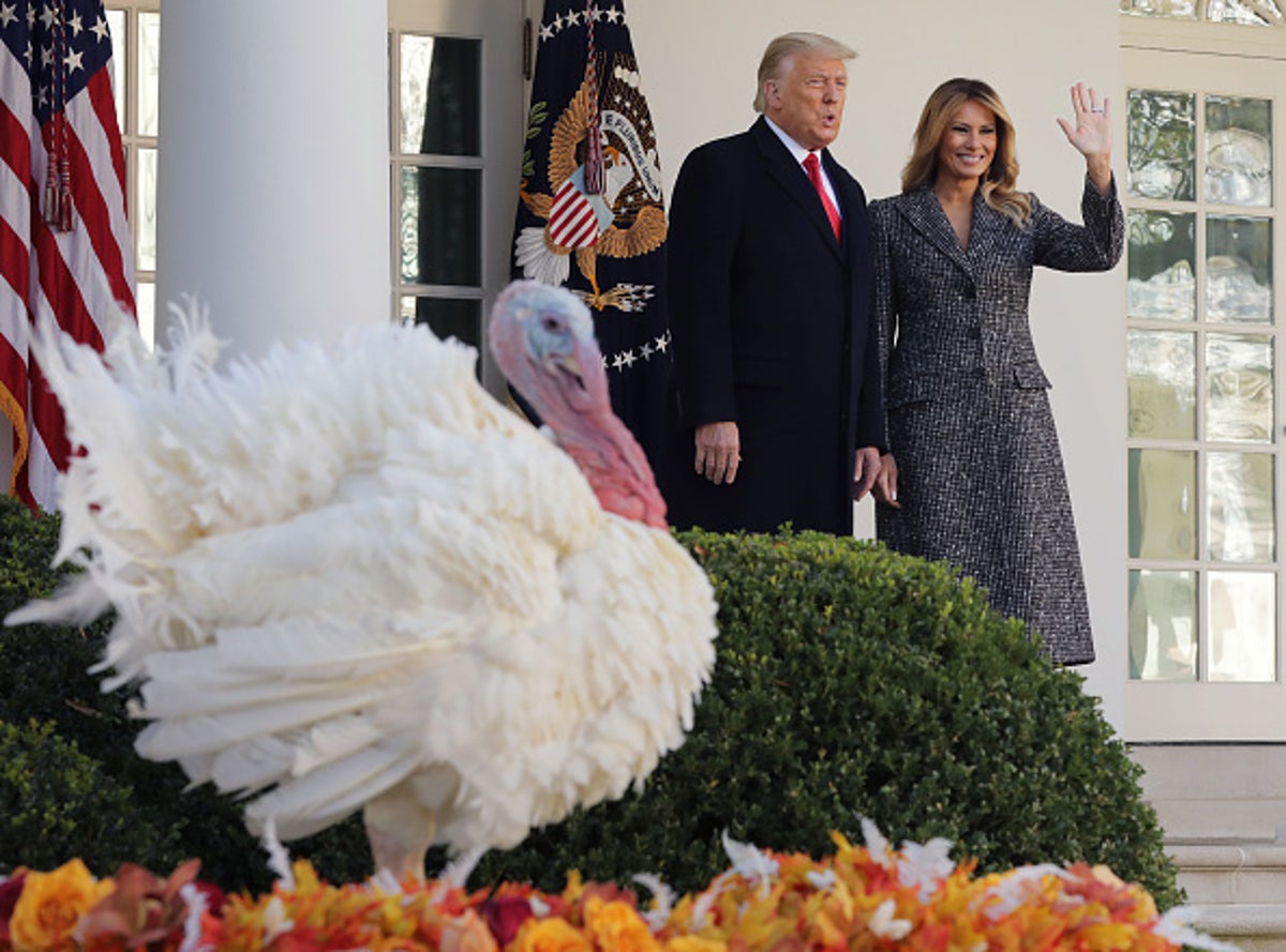 Trump Urges Americans To Gather For Thanksgiving In Direct Contradiction Of Official Covid Guidance The Independent