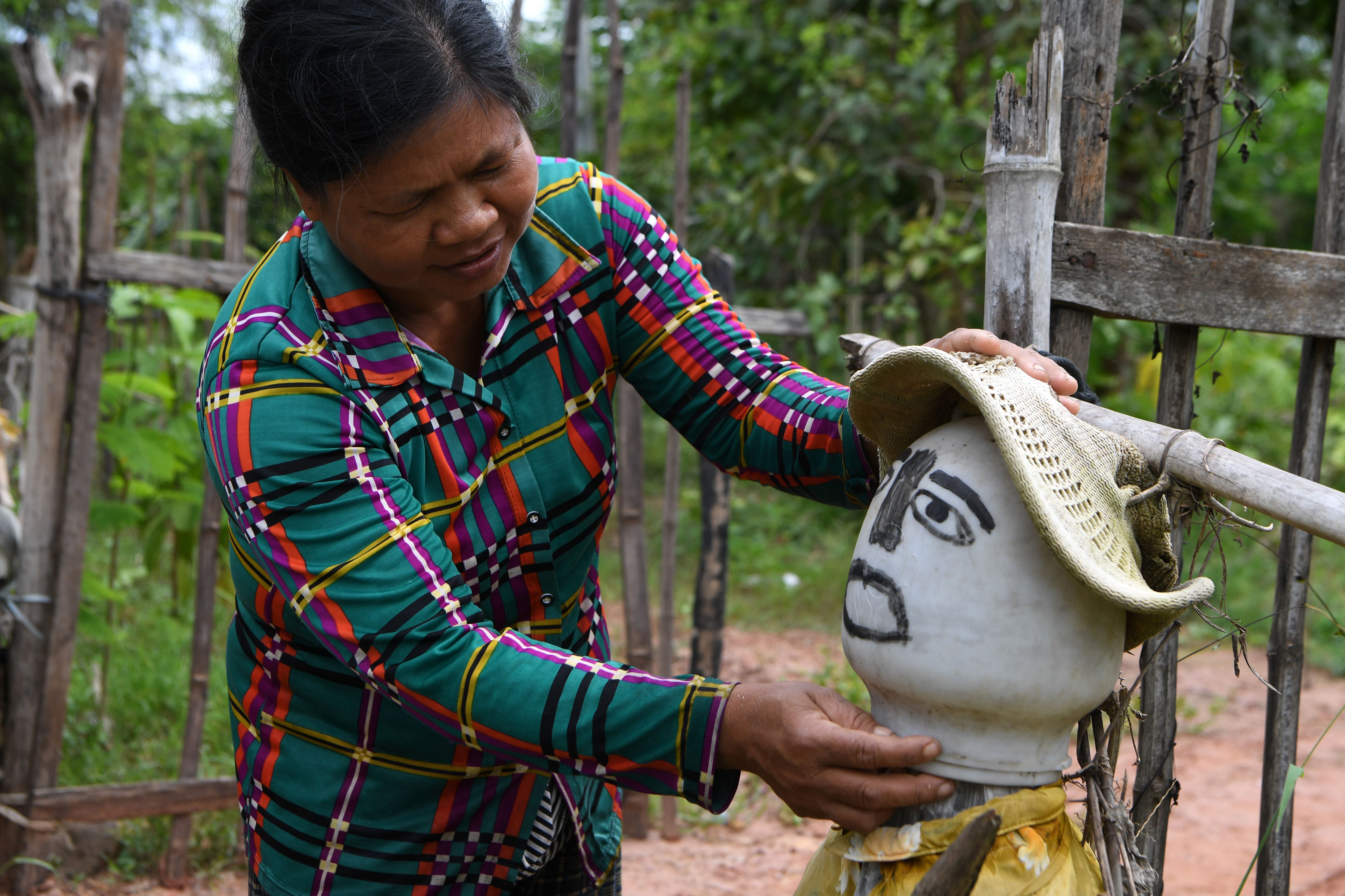 A woman sets up a scarecrow in front of her home in Cambodia