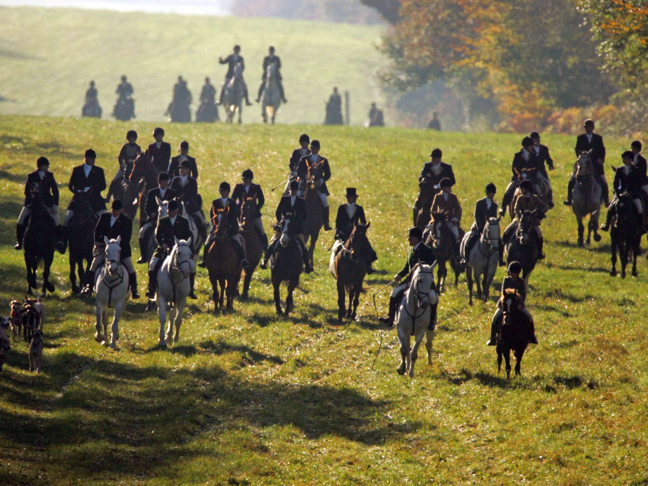 National Trust and landowner halt trail-hunting over fear foxes chased
