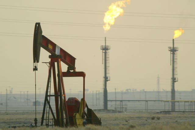 <p>The Ministry of Defence says Saudi oil fields are ‘critical economic infrastructure’</p>