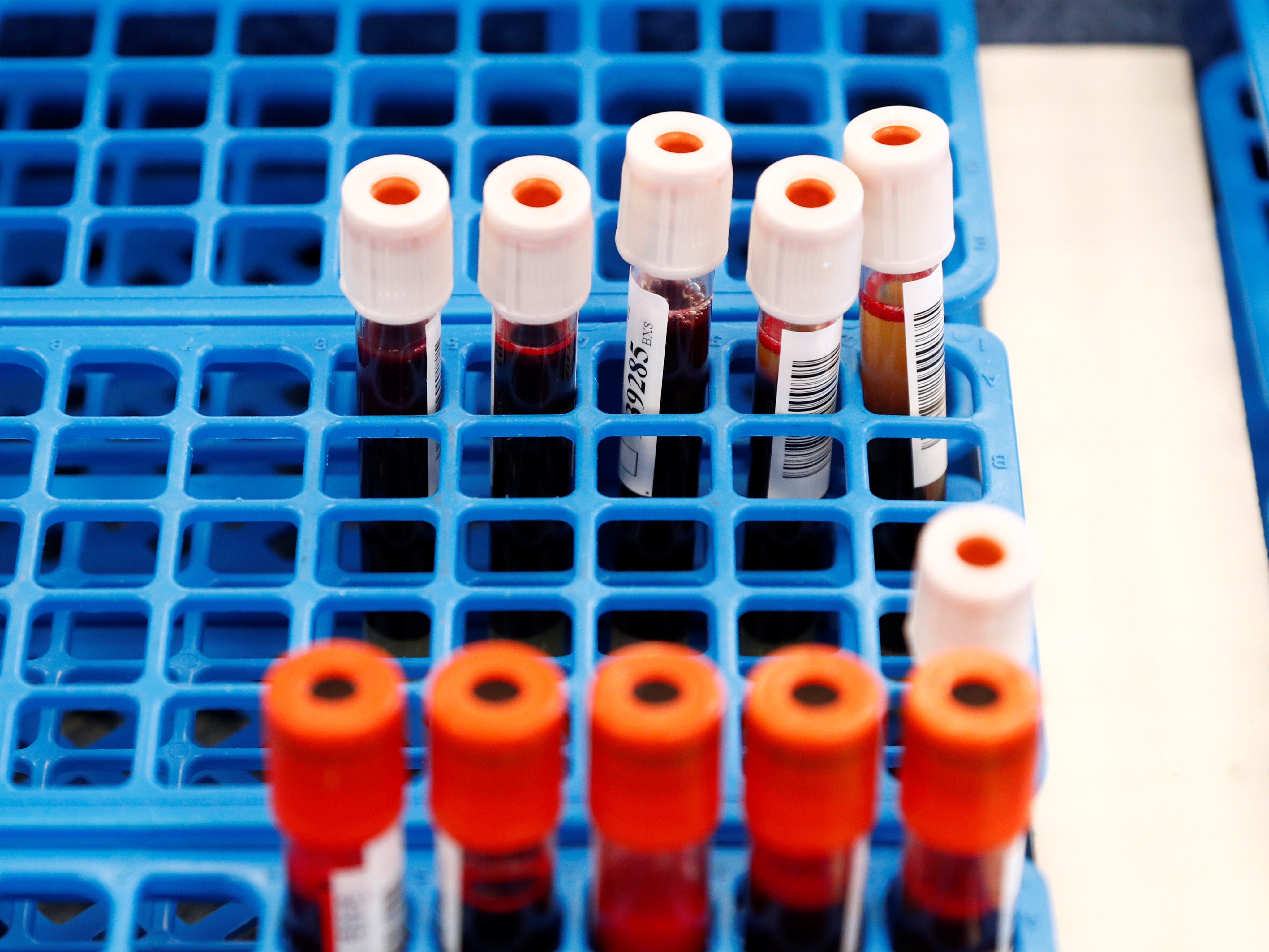 Tubes with blood samples are seen at the Belgian Red Cross blood collection centre during the coronavirus pandemic