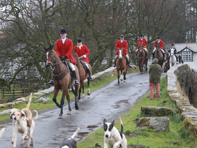 <p>Hunting close to land owned by the Duchy of Cornwall, which declined to say whether it was reviewing its policy</p>