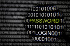 US fertility clinic says hackers may have stolen patient information