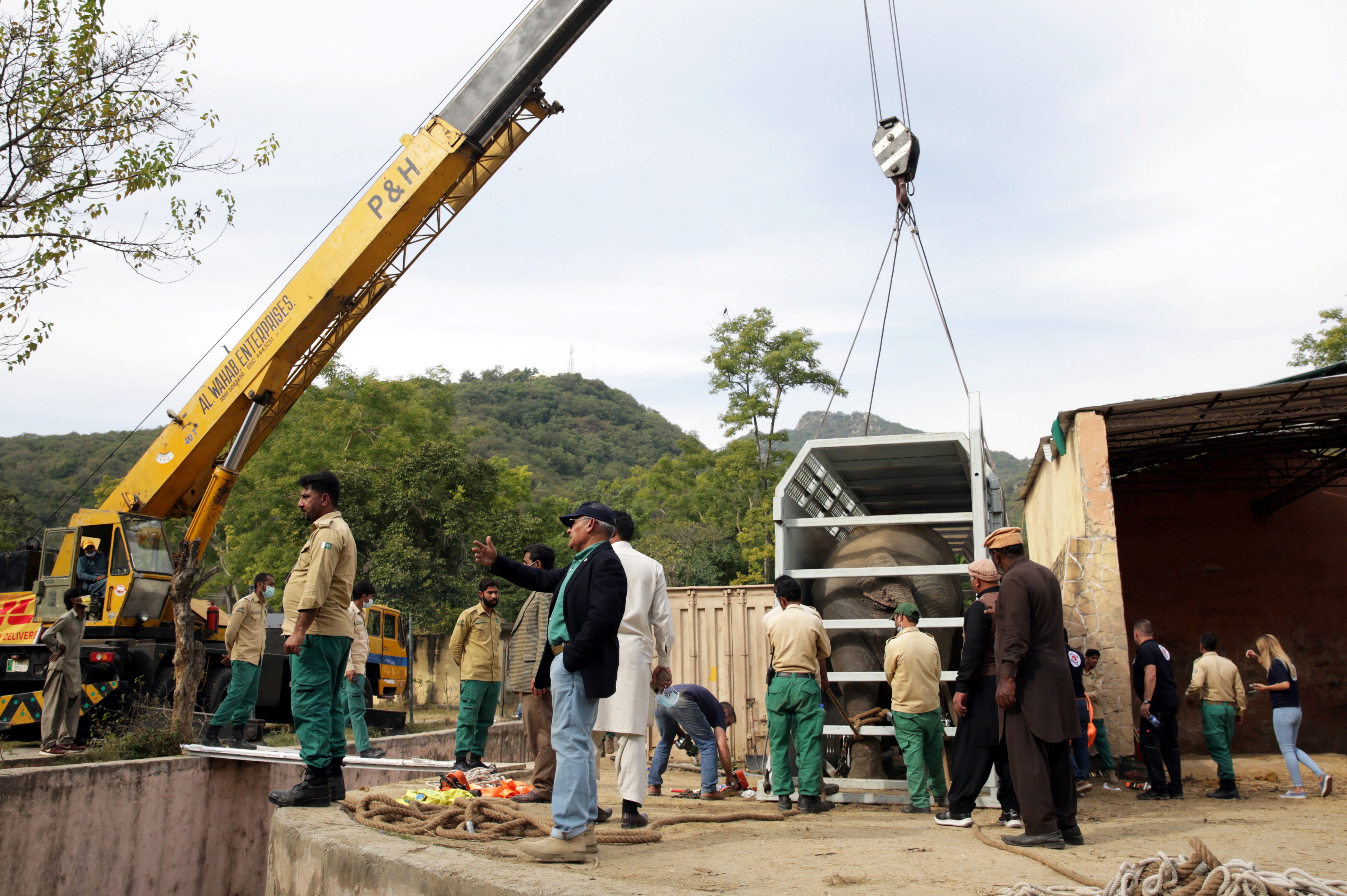 Animal experts gather as a crane lifts up a crate carrying Kaavan, an elephant to be transported to a sanctuary in Cambodia.