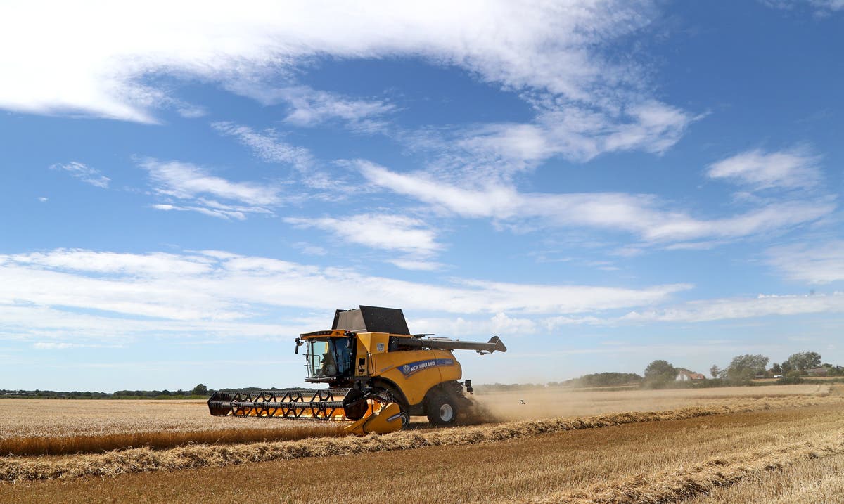 Cabinet minister risks farmers’ fury by claiming a no-deal Brexit will bring ‘new opportunities’