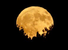 How to see the Beaver Moon tonight