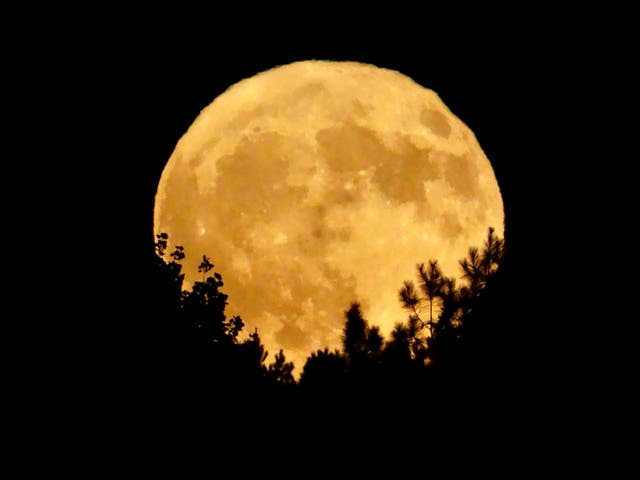 The full moon on 30 November 2020 is known as the Beaver Moon
