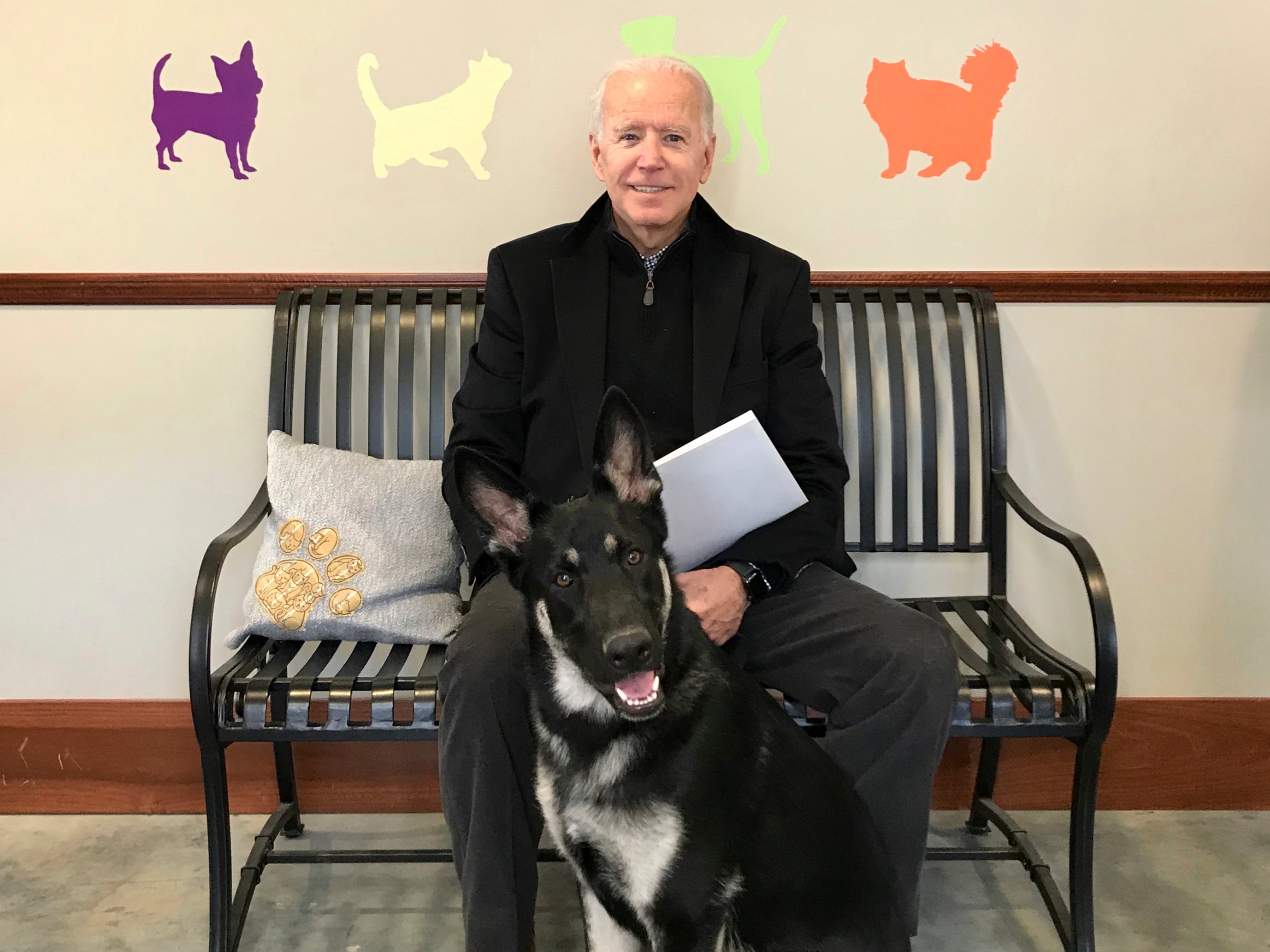 Joe Biden and his newly-adopted German shepherd Major, in Wilmington, Delaware