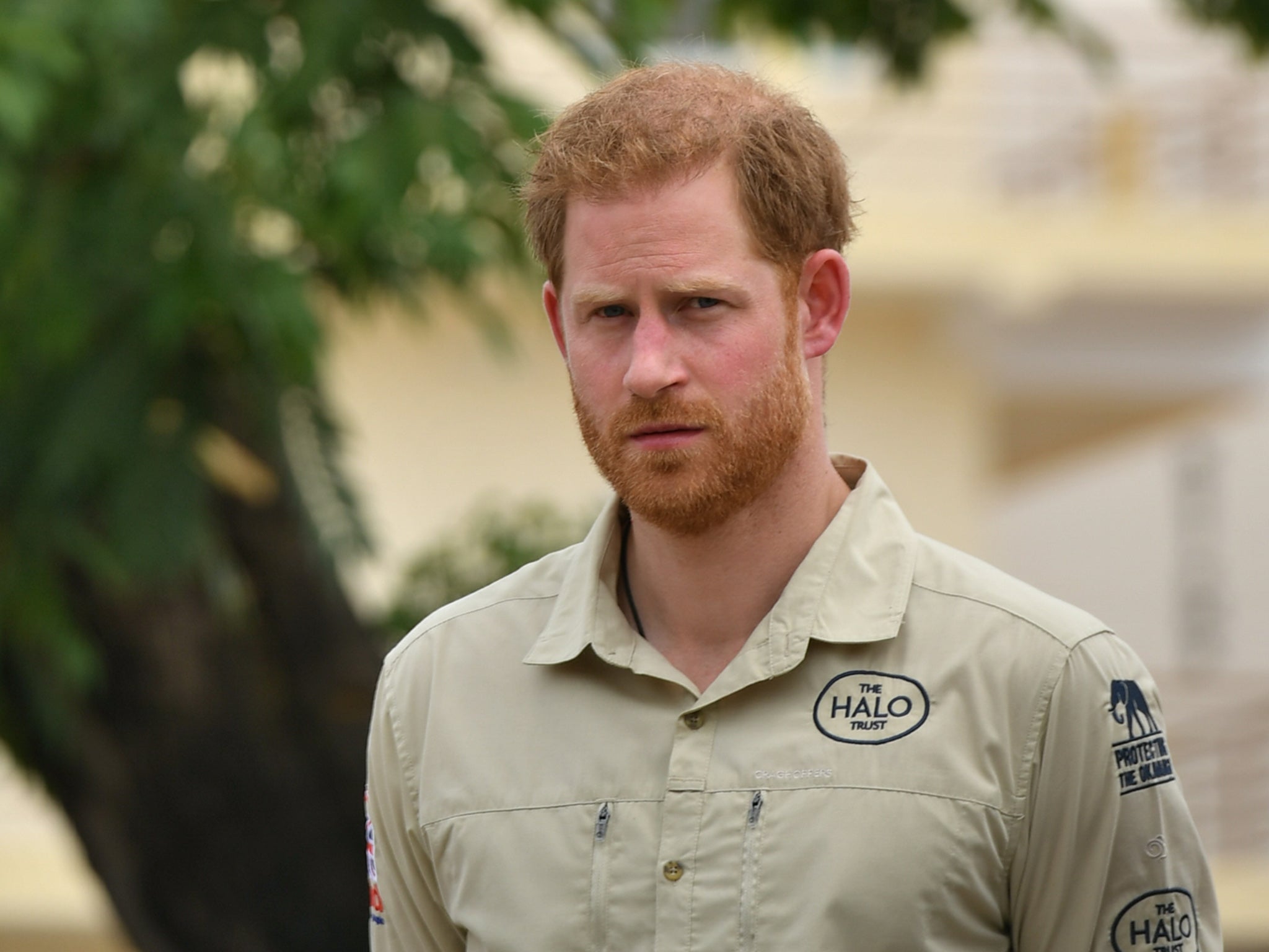 <p>Prince Harry in Angola</p>