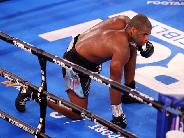 <p>Daniel Dubois takes a knee in the 10th round</p>