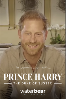 Prince Harry says fatherhood has galvanized his environmental efforts 