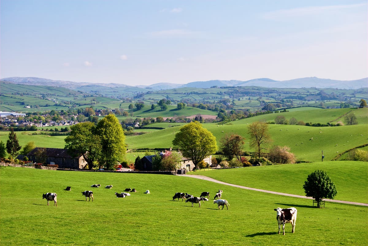 Brexit nostalgia about the countryside is based on a past that never existed