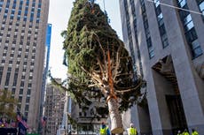 Rockefeller Center Christmas Tree turns on, with virus rules