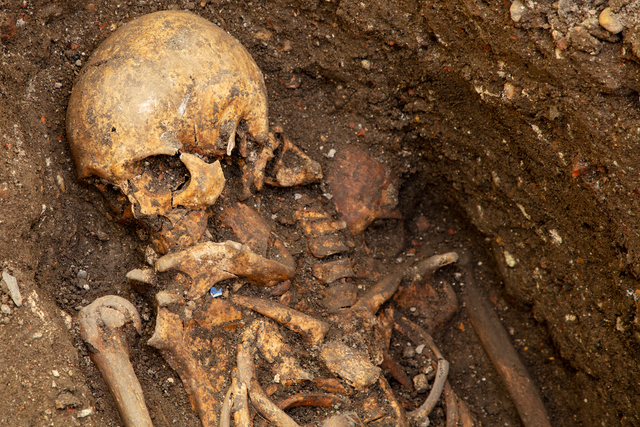 <p>Many skeletons show the bodies were dissected before burial</p>