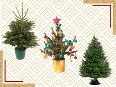 11 best real Christmas trees that smell great and don't drop needles