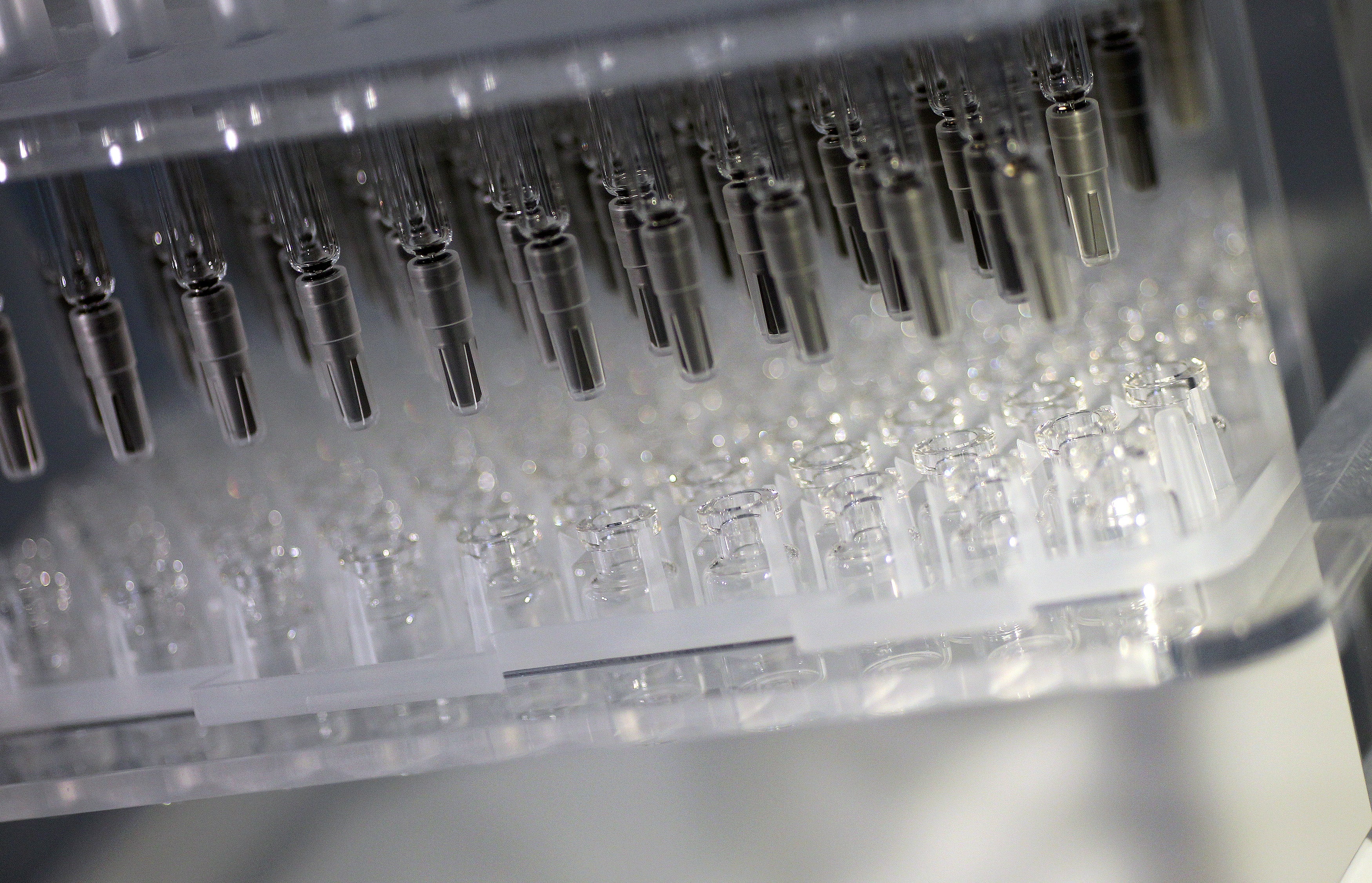 ‘Light at the end of the tunnel’: Businesses welcome vaccine rollout but see long road to recovery