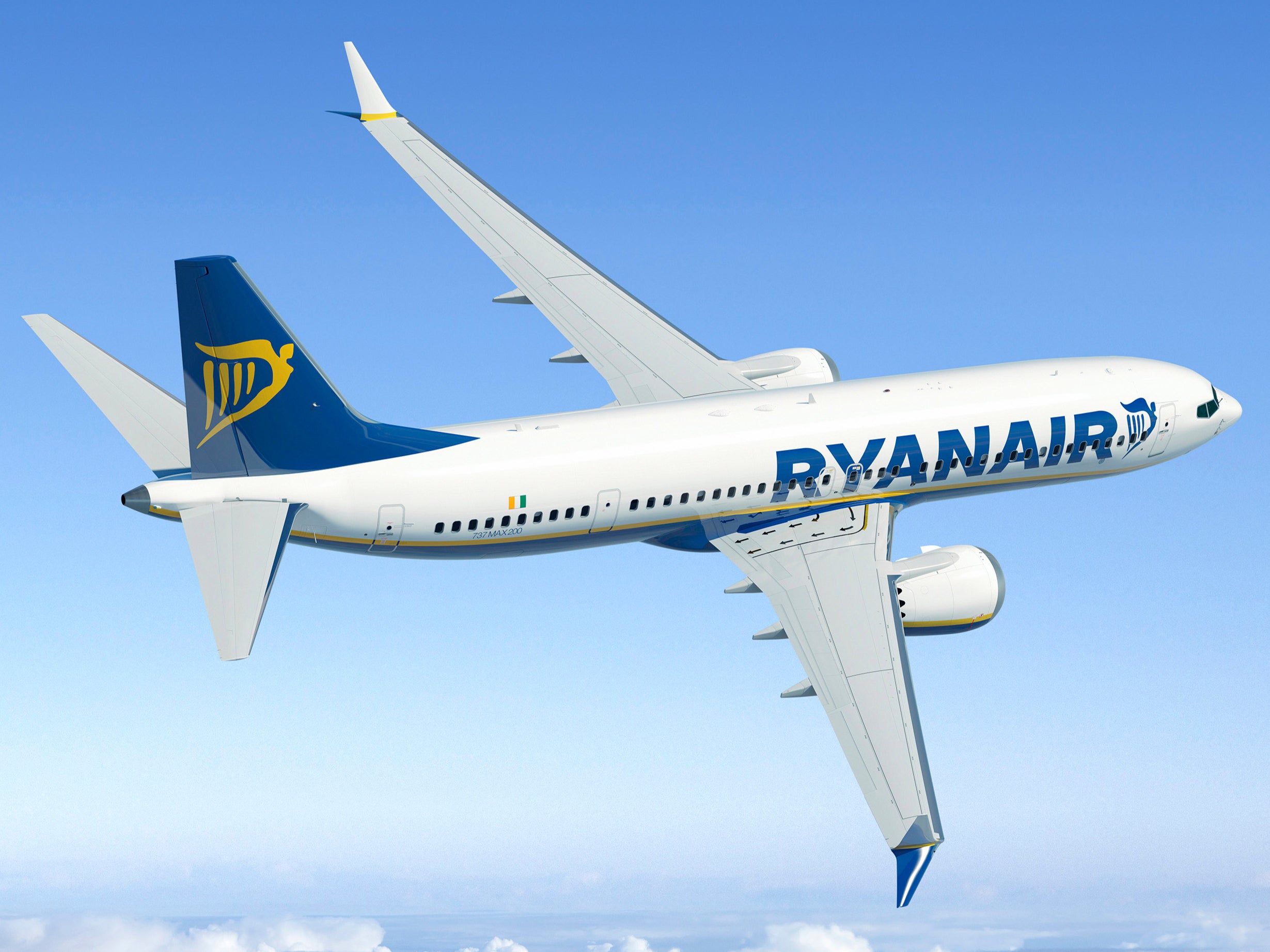 Common sight: Ryanair previously ordered 135 Boeing 737 Max jets