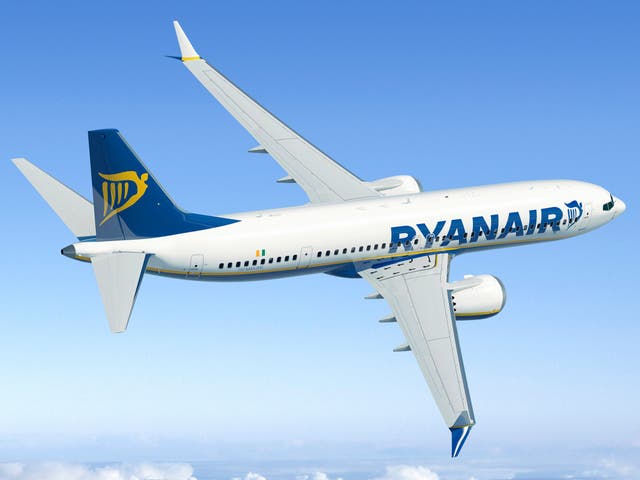 <p>Common sight: Ryanair previously ordered 135 Boeing 737 Max jets</p>