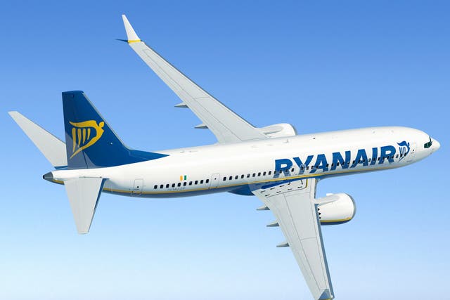 <p>Common sight: Ryanair previously ordered 135 Boeing 737 Max jets</p>