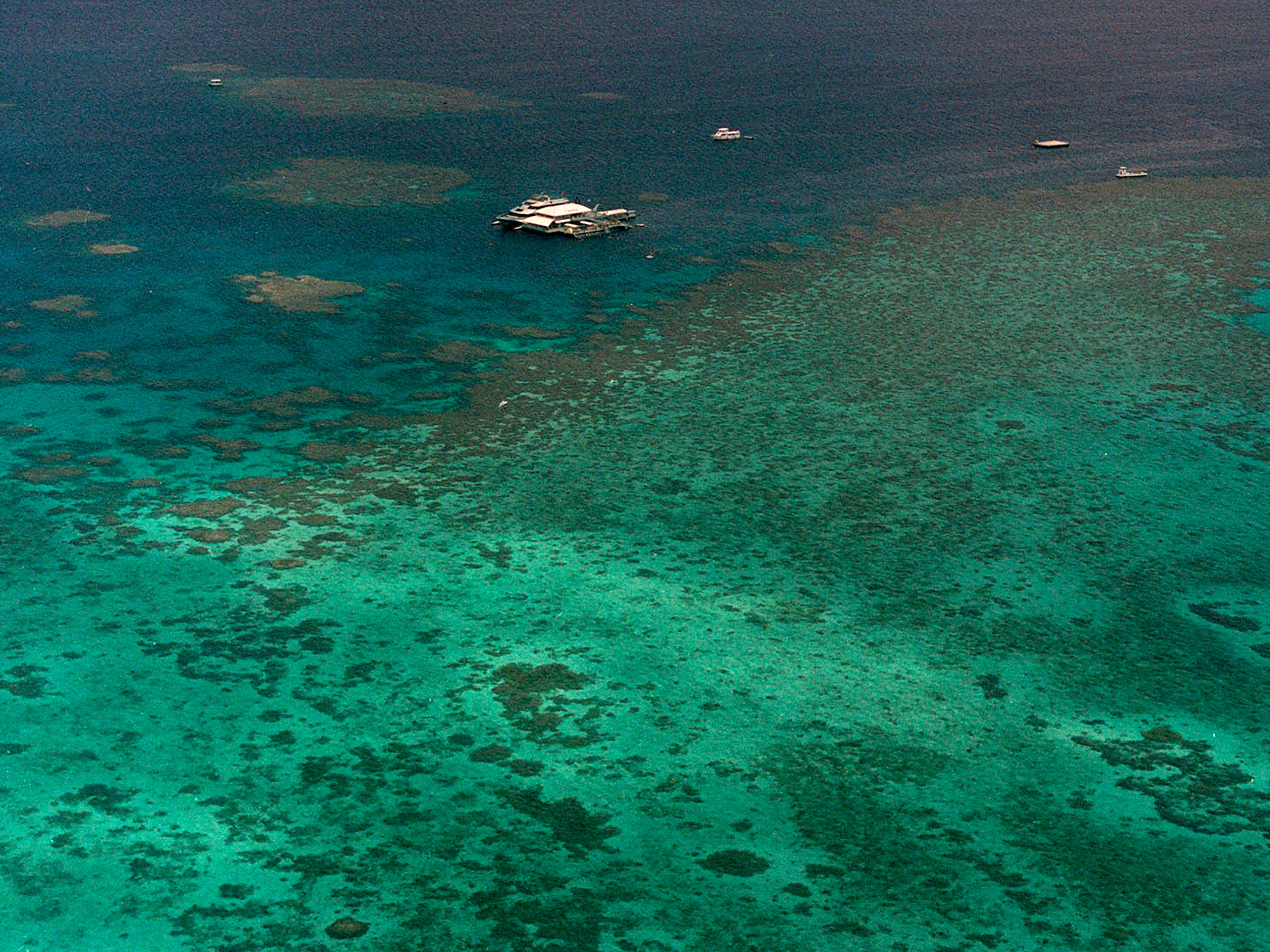 <p>The Agincourt Reef, located about 30 miles off the coast near the northern reaches of the 1,200-mile long Great Barrier Reef which is under increased threat from climate change</p>