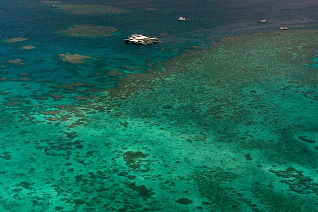 <p>The Agincourt Reef, located about 30 miles off the coast near the northern reaches of the 1,200-mile long Great Barrier Reef which is under increased threat from climate change</p>