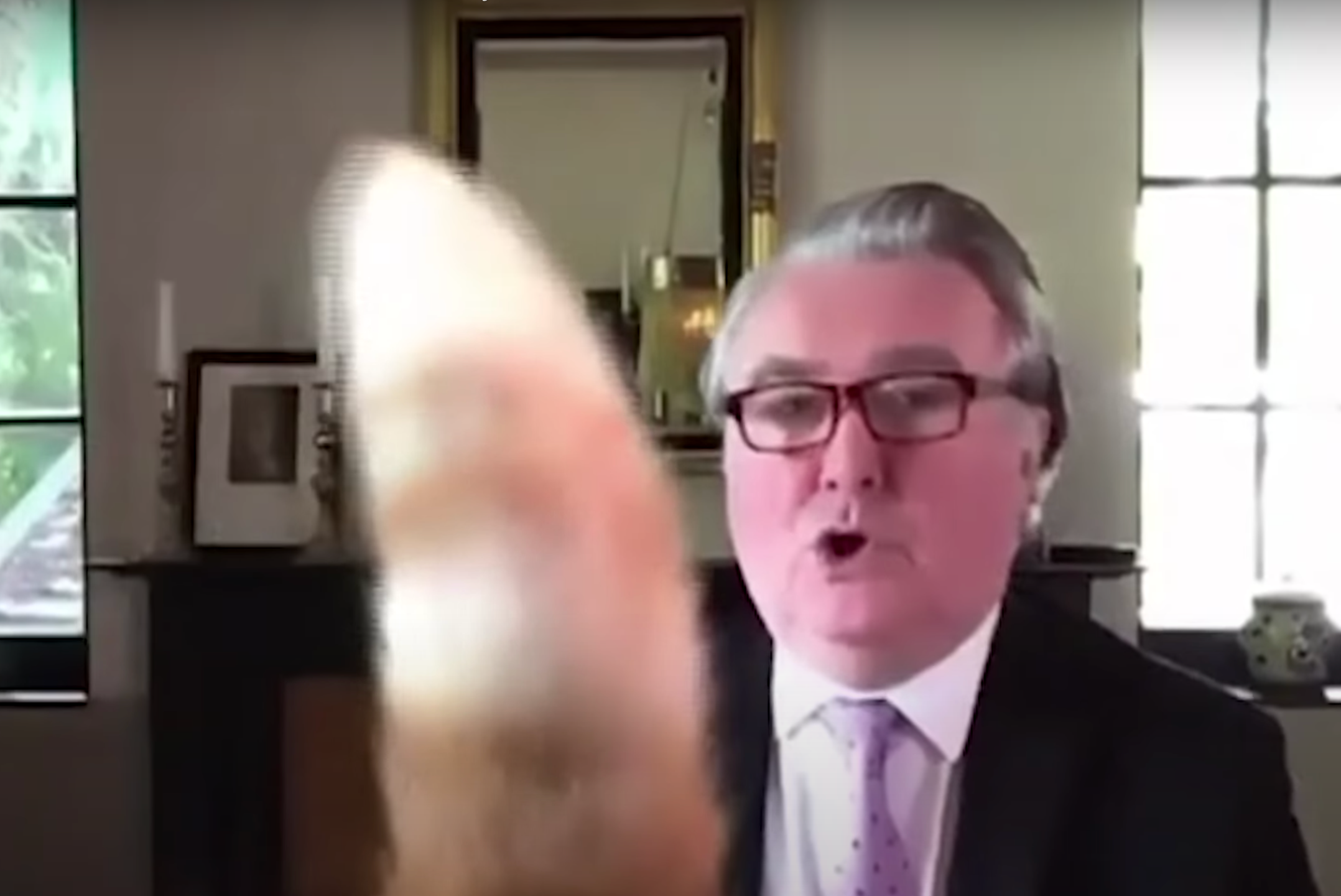 SNP MP John Nicholson interrupted by his cat Rocco