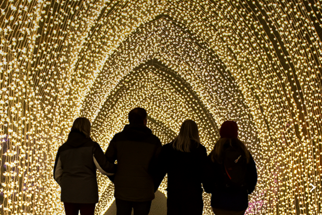 Try an illuminated Christmas trail at Blenheim Palace