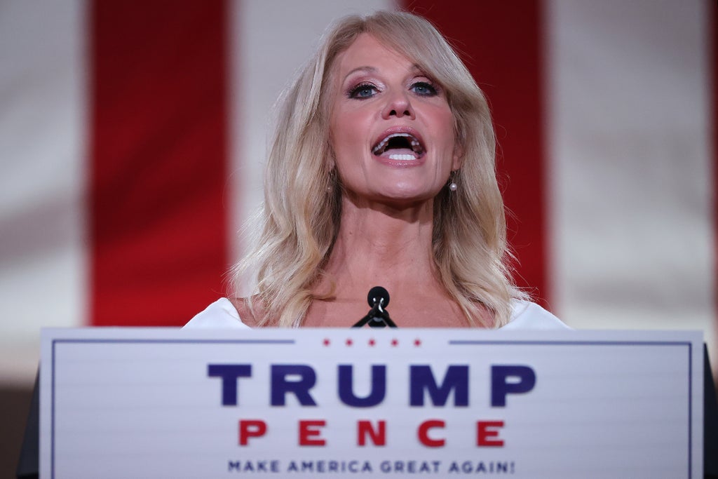 Kellyanne Conway accuses TV pundits of getting their facts wrong after infamous ‘alternative facts’ claim