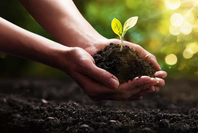 <p>On World Soil Day let’s celebrate the remarkable dirt beneath our feet</p>
