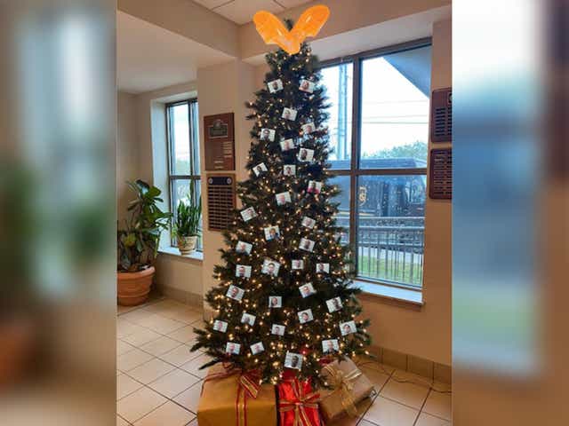 The tree posted to Facebook by the sheriff’s department on Thursday 3 December 2020
