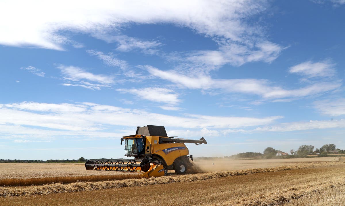 Warning of ‘catastrophic’ no-deal Brexit impact on farmers, as minister suggests tariffs on agriculture will not be manageable