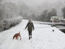 Snow on ground ‘could disappear for most by end of century’