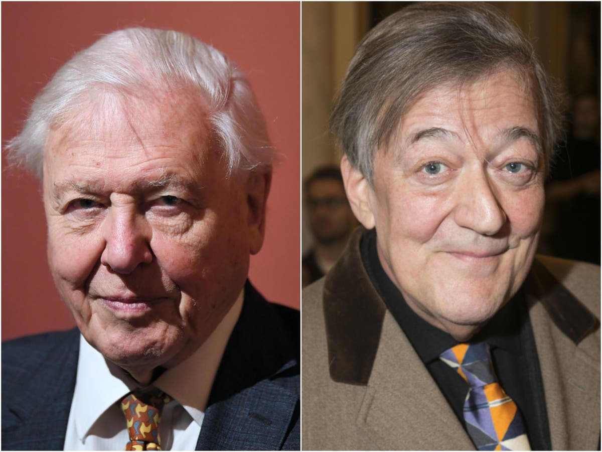 David Attenborough and Stephen Fry voted nation’s favourite voices