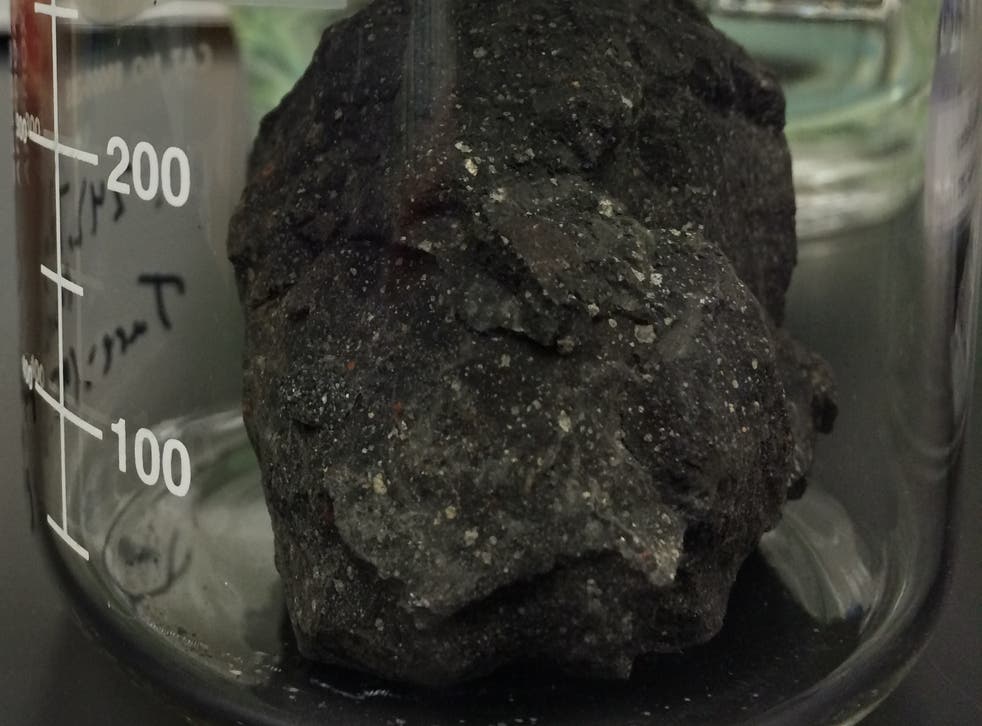 A fragment of the Murchison meteorite, one of the three carbon-rich meteorites that was sampled in this study