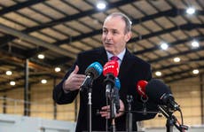 Referendum on maternity leave for female politicians might be held, says Irish PM