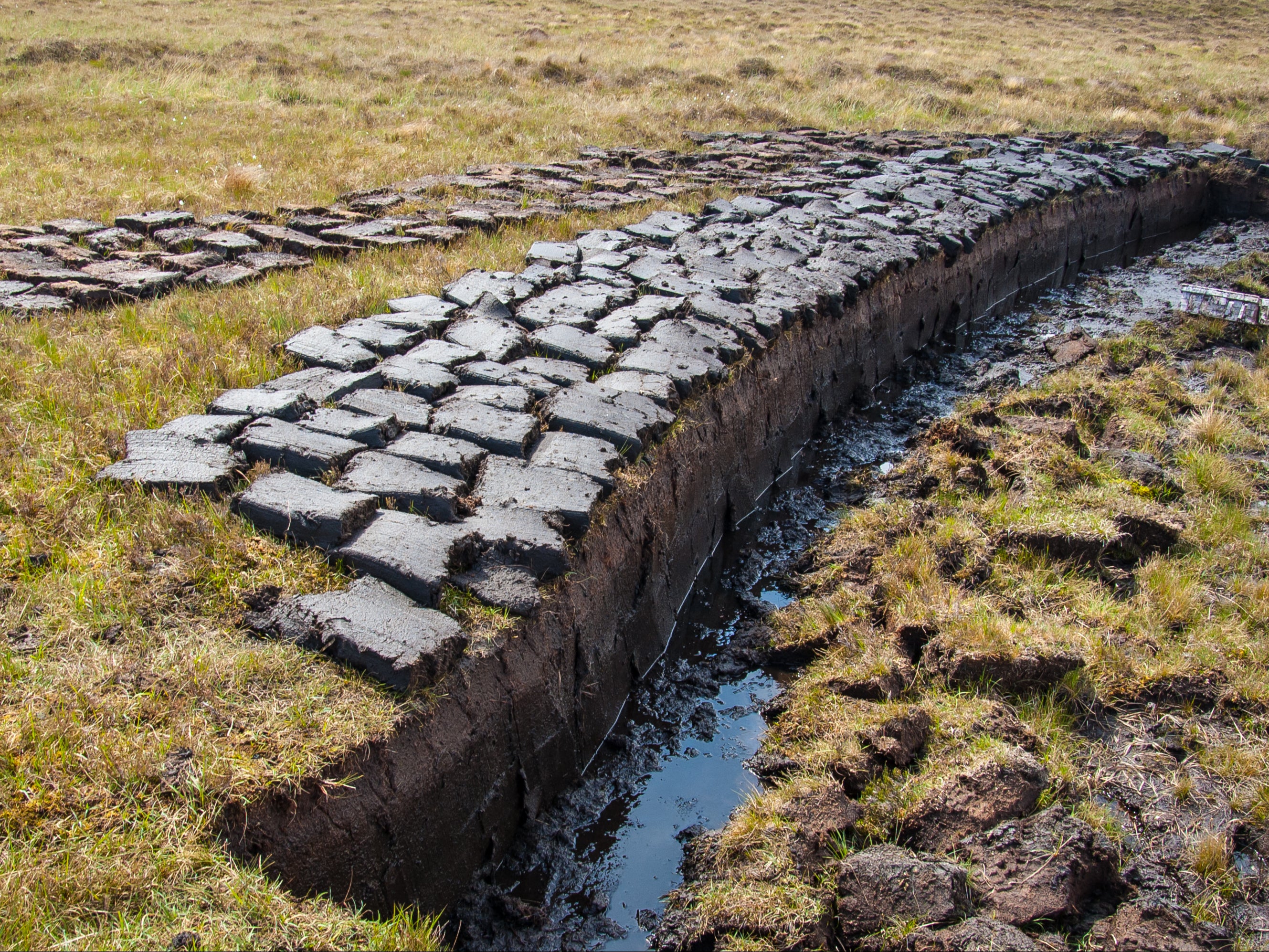Peat cutting in Scotland. Dried peat burns well and it is also widely used in horticulture