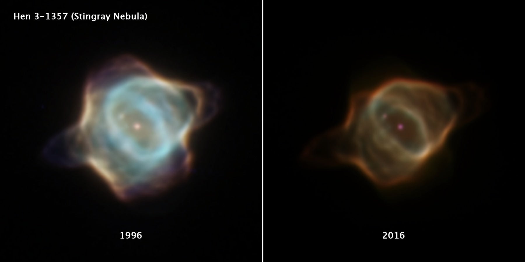 Two images of the Stingray Nebula, located in the direction of the southern constellation Ara -- or the Altar -- captured 20 years apart by NASA's Hubble Space Telescope. The image on the left was taken in March 1996, while the image on the right was captured in January 2016