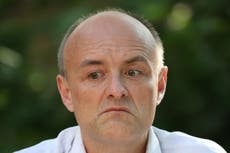 Dominic Cummings quip voted Christmas cracker joke of the year