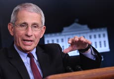 Dr Fauci warns of ‘really dark time ahead’ for US