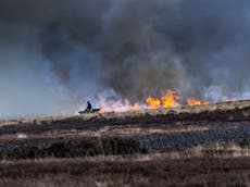 Burning moorland ‘biggest threat to most important wildlife sites’