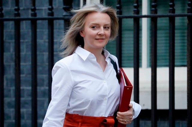 <p>The Trade Secretary, Liz Truss, said the move on Airbus-related tariffs would show the US 'we are serious about ending a dispute that benefits neither country’</p>