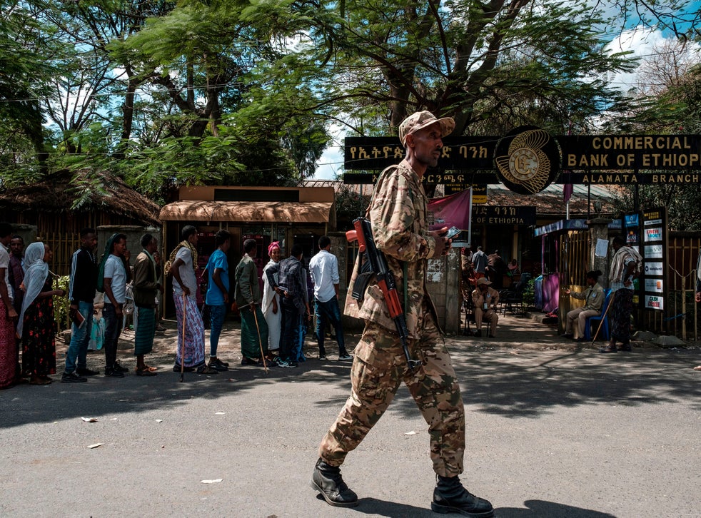 <p>The Ethiopian government said it does not need a “baby-sitter”</p>